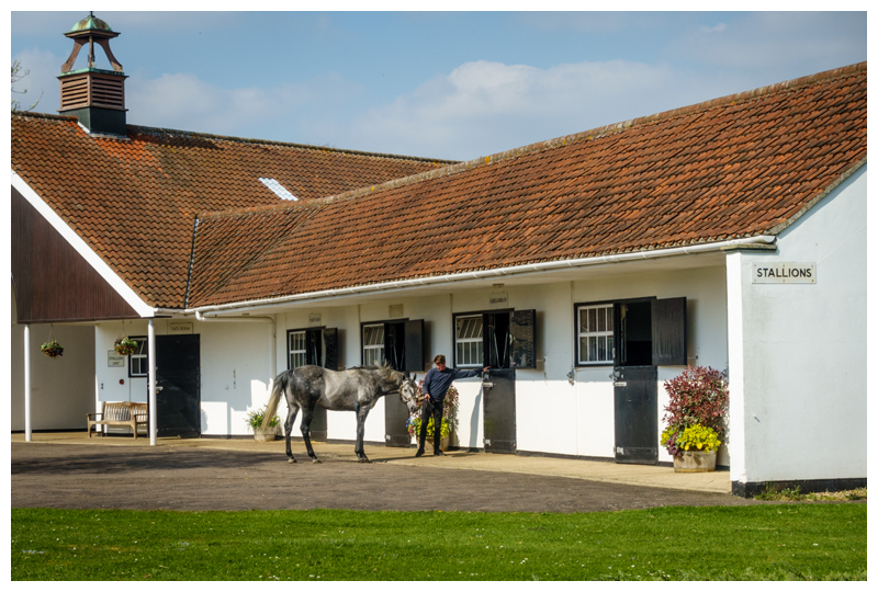 Newmarket National Stud April